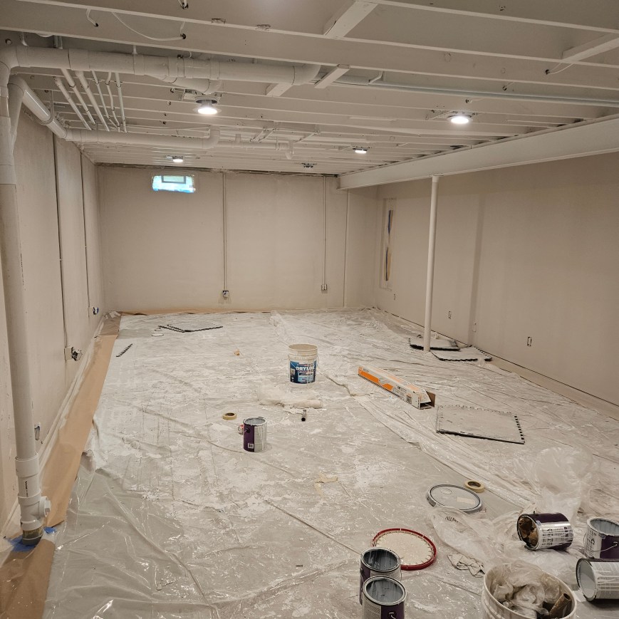 Ceiling Painting & Dryfall Painting